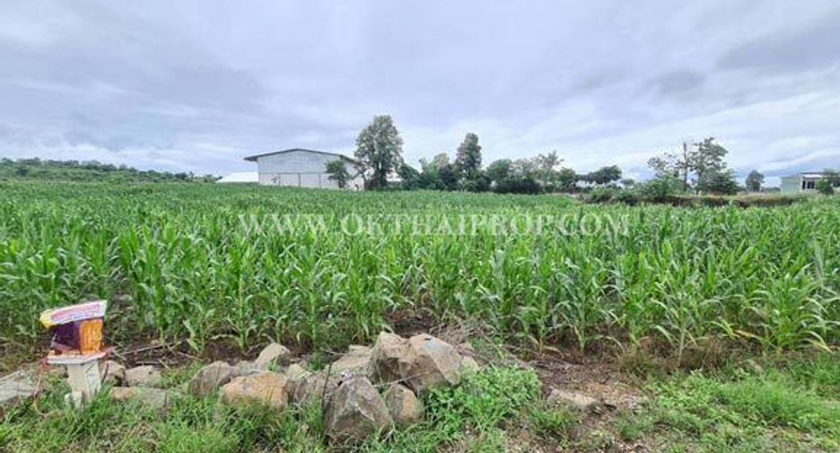 For sale land in Bueng Sam Phan, Phetchabun