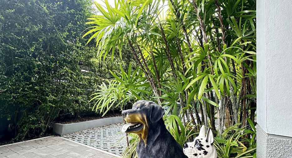 Villa zur Miete mit 3 Zimmer in Kathu, Phuket