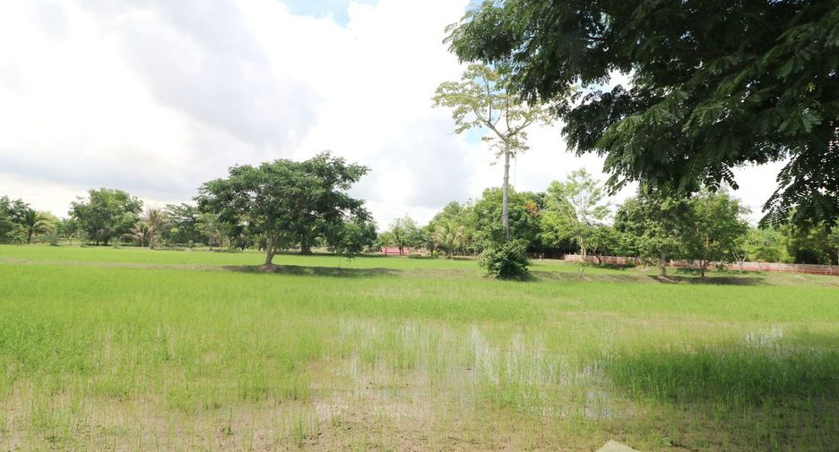 For sale land in Sakhrai, Nong Khai