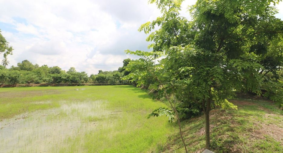 For sale land in Sakhrai, Nong Khai