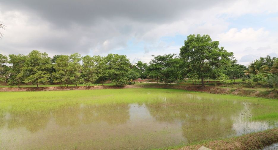 For sale land in Sakhrai, Nong Khai