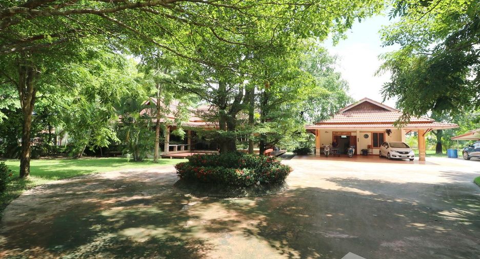 For sale land in Sakhrai, Nong Khai