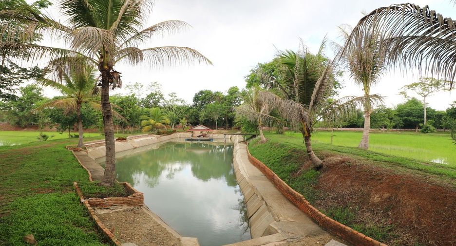 For sale land in Sakhrai, Nong Khai