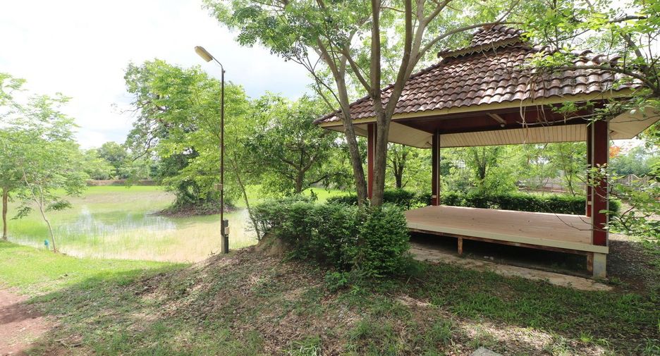 For sale land in Sakhrai, Nong Khai