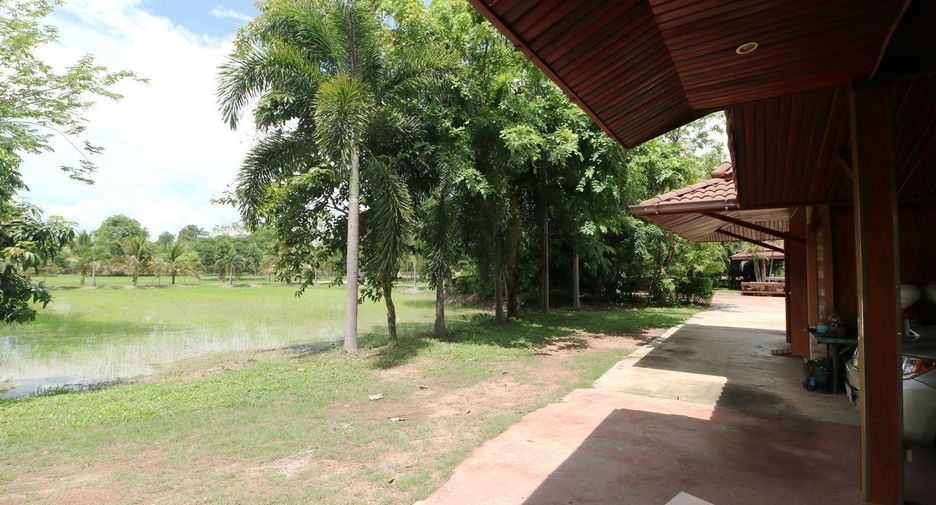 For sale land in Sakhrai, Nong Khai