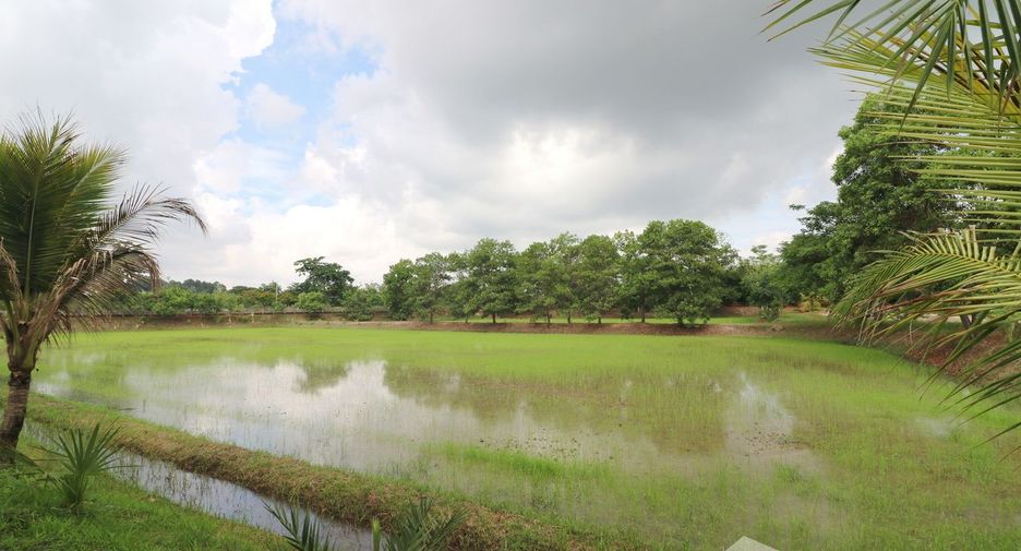 For sale land in Sakhrai, Nong Khai