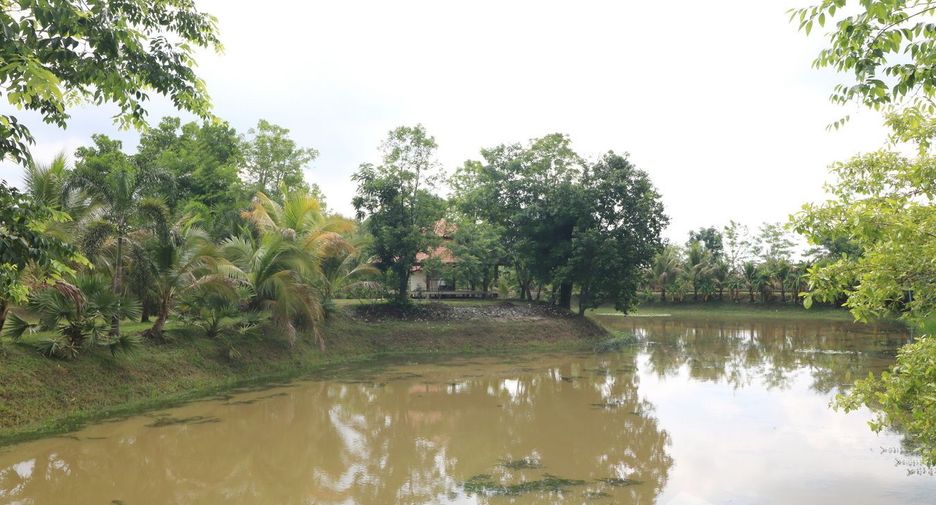 For sale land in Sakhrai, Nong Khai