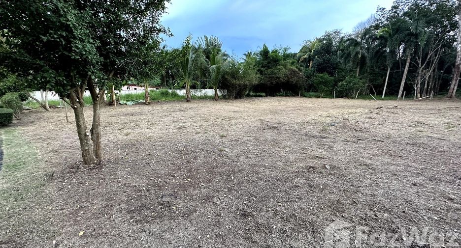 ขาย ที่ดิน ใน ถลาง, ภูเก็ต