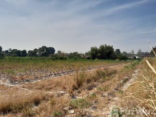 Terreno en venta en Mueang Rayong, Rayong