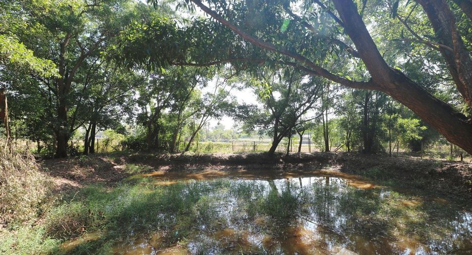For sale land in Mueang Udon Thani, Udon Thani