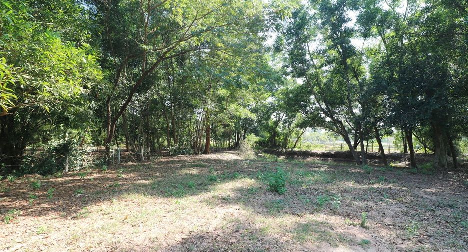 For sale land in Mueang Udon Thani, Udon Thani