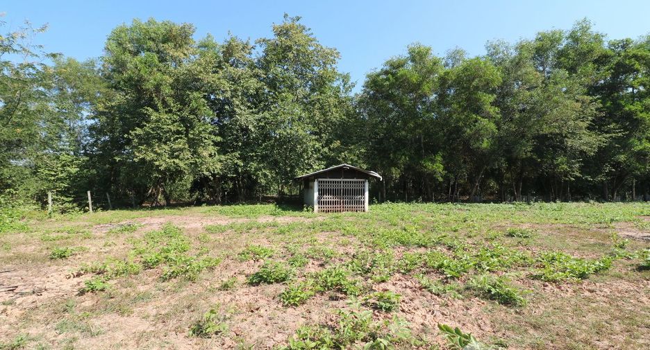 For sale land in Mueang Udon Thani, Udon Thani