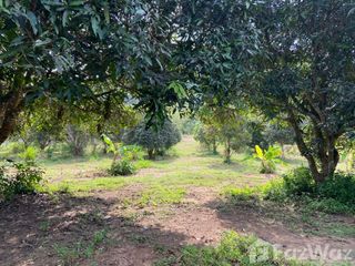For sale land in Sattahip, Pattaya