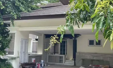 ขาย และ ให้เช่า 4 ห้องนอน บ้านเดี่ยว ใน บางเขน, กรุงเทพฯ
