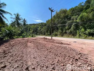 ขาย ที่ดิน ใน หลังสวน, ชุมพร