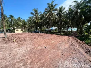 ขาย ที่ดิน ใน หลังสวน, ชุมพร