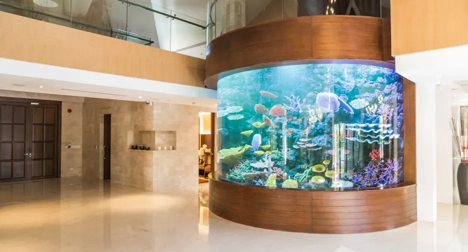 Casa en venta y en alquiler de 6 habitaciones en Watthana, Bangkok