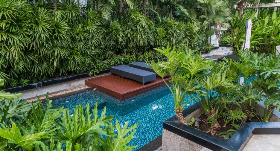Casa en venta y en alquiler de 6 habitaciones en Watthana, Bangkok