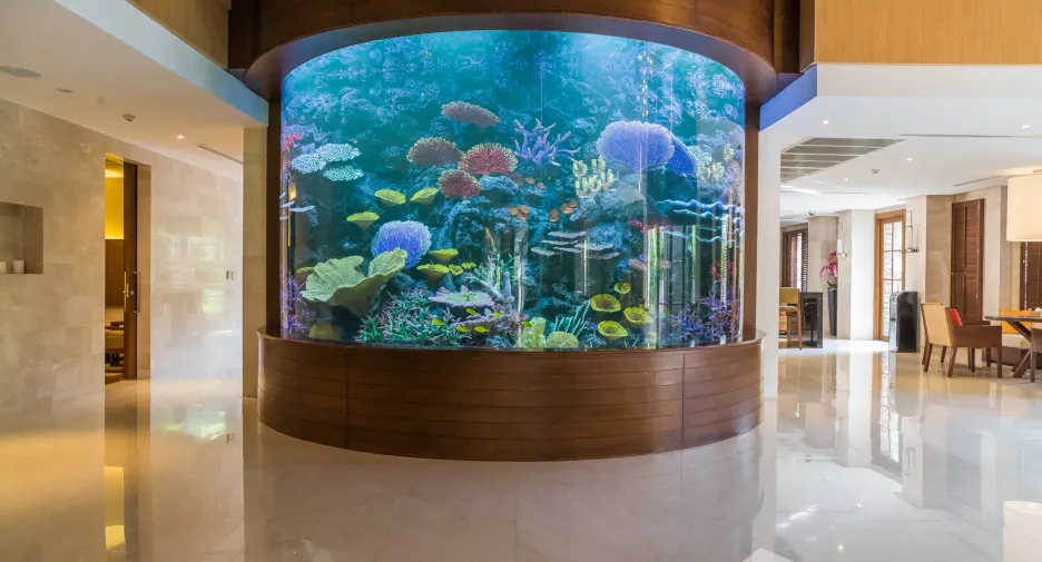 Haus zum Kauf und zur Miete mit 6 Zimmer in Watthana, Bangkok