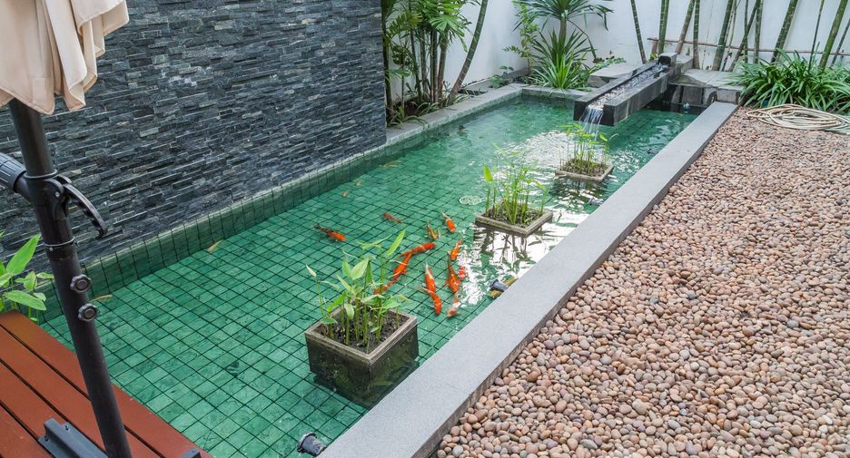 Haus zum Kauf und zur Miete mit 6 Zimmer in Watthana, Bangkok