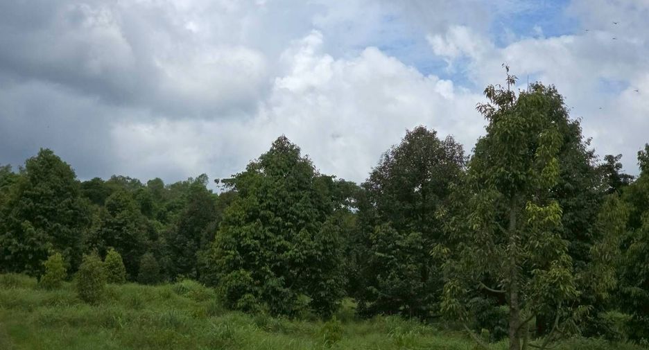 For sale land in Wang Thong, Phitsanulok