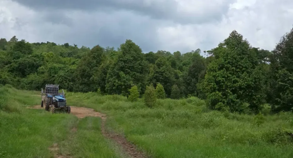 For sale land in Wang Thong, Phitsanulok