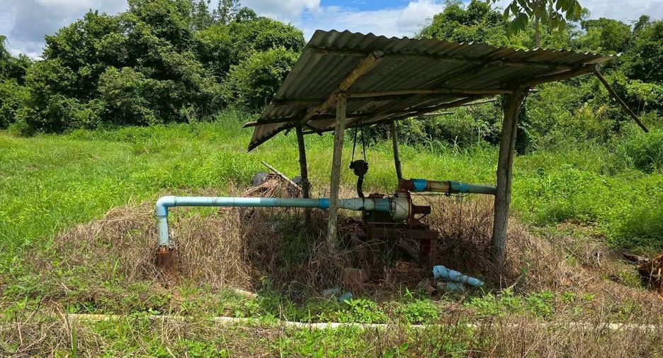 For sale land in Wang Thong, Phitsanulok