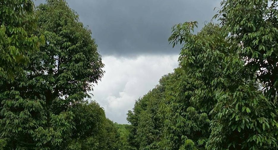 For sale land in Wang Thong, Phitsanulok