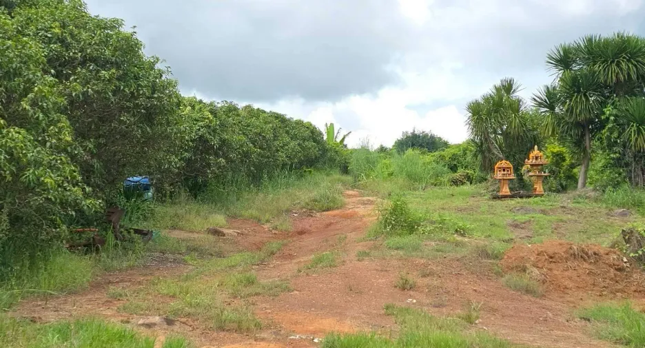 For sale land in Wang Thong, Phitsanulok