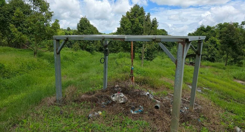 For sale land in Wang Thong, Phitsanulok