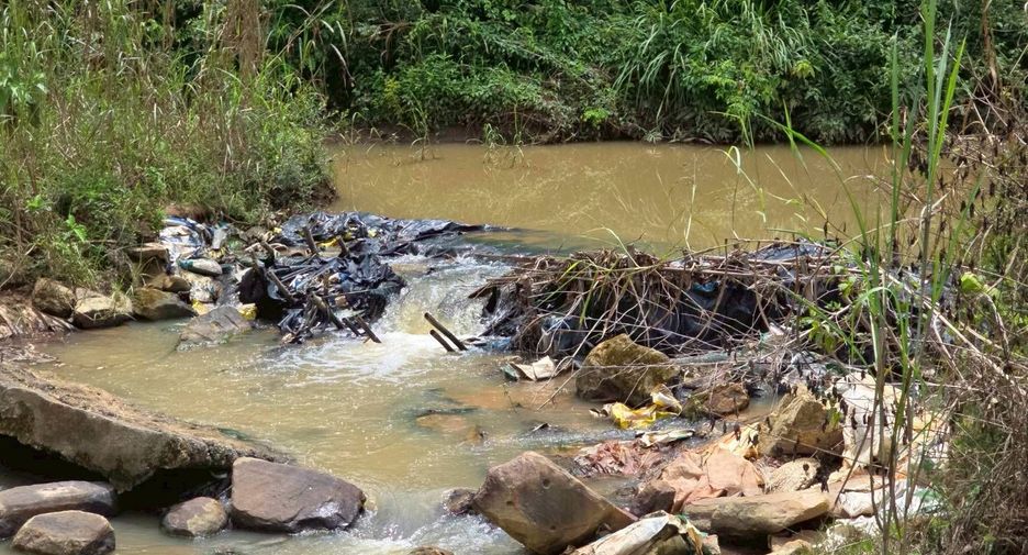 For sale land in Wang Thong, Phitsanulok