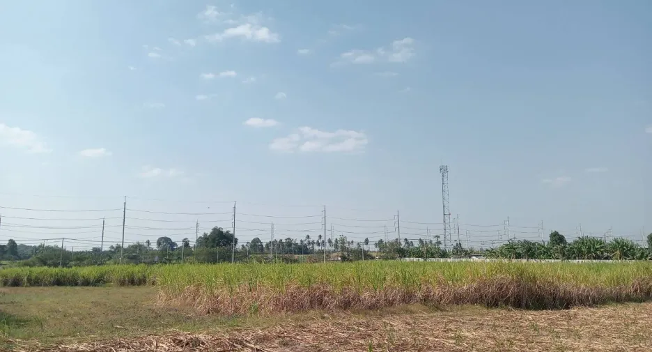 For sale land in Ban Bueng, Chonburi