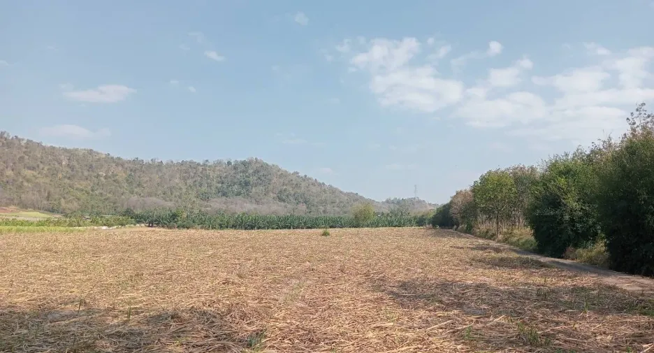 For sale land in Ban Bueng, Chonburi