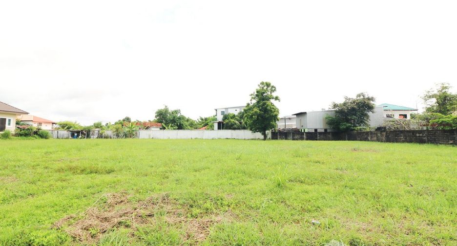 Grundstück zum Kauf in Phon Phisai, Nong Khai