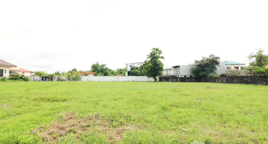 For sale land in Phon Phisai, Nong Khai