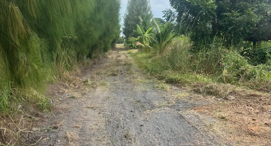 Grundstück zum Kauf in Mueang Chachoengsao, Chachoengsao
