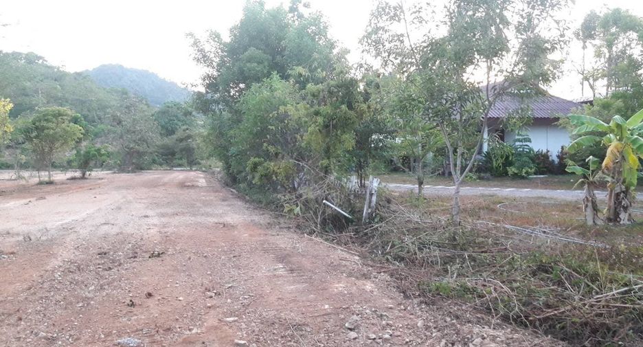 For sale land in Ko Lanta, Krabi
