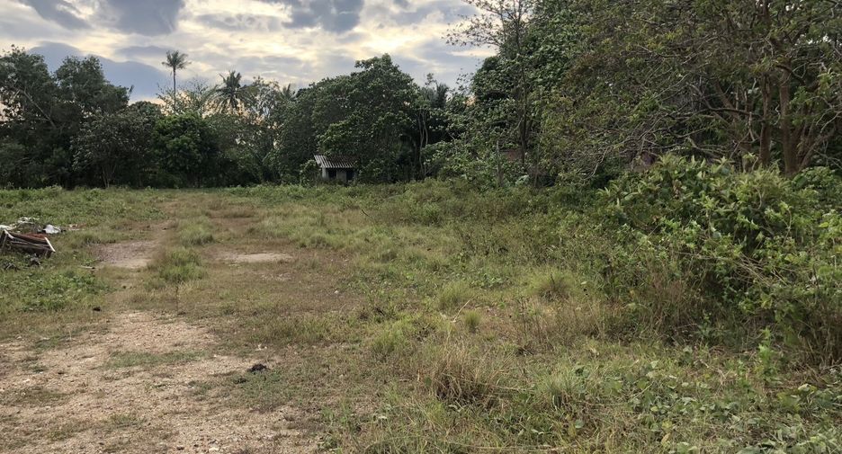 For sale land in Ko Lanta, Krabi