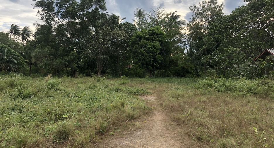 For sale land in Ko Lanta, Krabi
