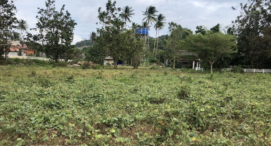 For sale land in Ko Lanta, Krabi
