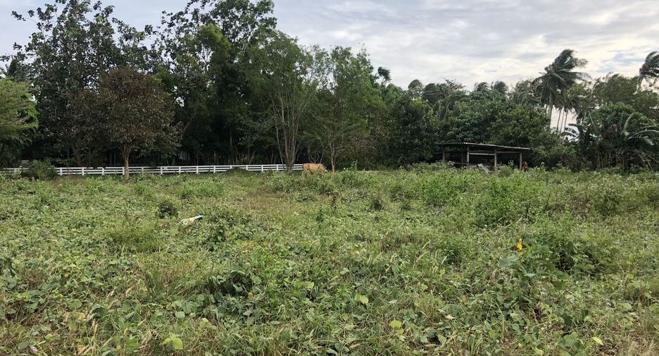 For sale land in Ko Lanta, Krabi