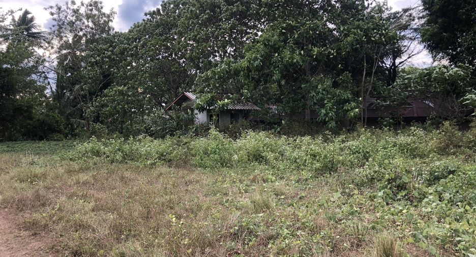 For sale land in Ko Lanta, Krabi