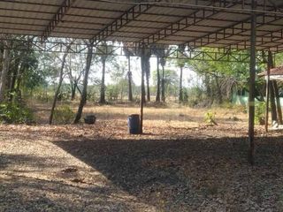 Продажа Участок в Sikhoraphum, Сурин