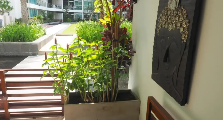 Condo en venta de 2 habitaciones en Bang Lamung, Chonburi
