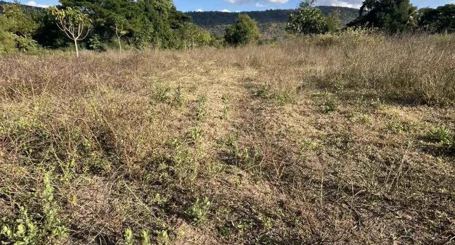 For sale land in Mueang Nongbua Lamphu, Nong Bua Lamphu