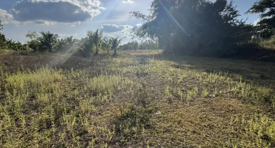 For sale land in Mueang Nongbua Lamphu, Nong Bua Lamphu