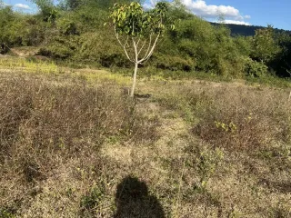 For sale land in Mueang Nongbua Lamphu, Nong Bua Lamphu