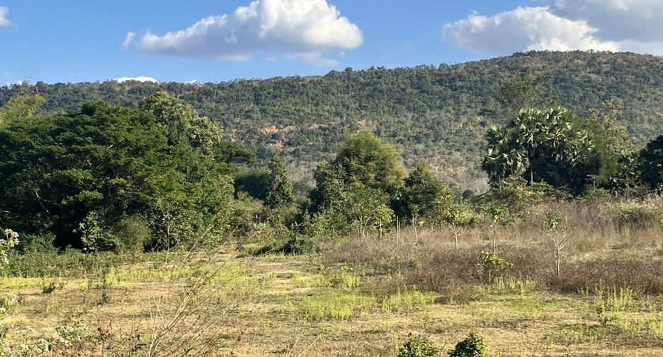 For sale land in Mueang Nongbua Lamphu, Nong Bua Lamphu