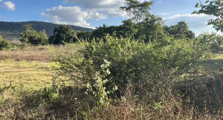 For sale land in Mueang Nongbua Lamphu, Nong Bua Lamphu