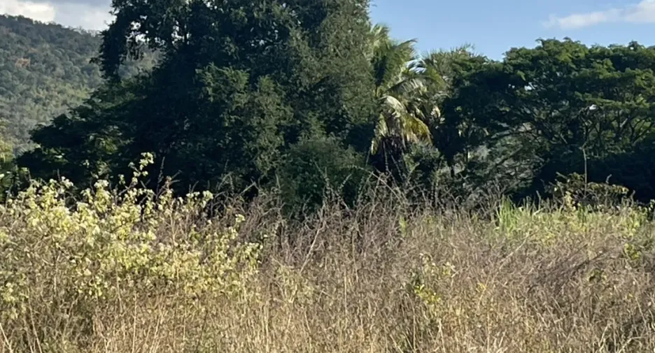 For sale land in Mueang Nongbua Lamphu, Nong Bua Lamphu